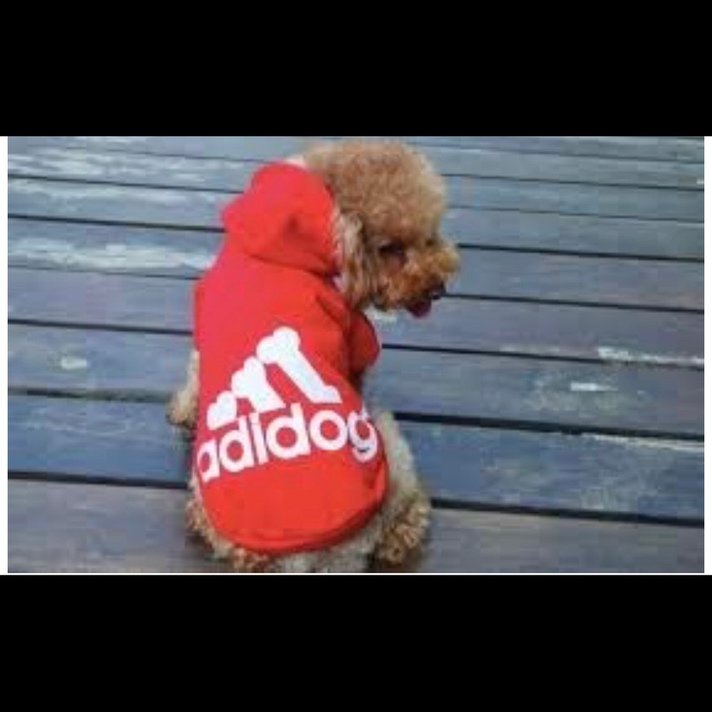 • BRAND NEW ADIDOG HOODIE • 🐶❤️
